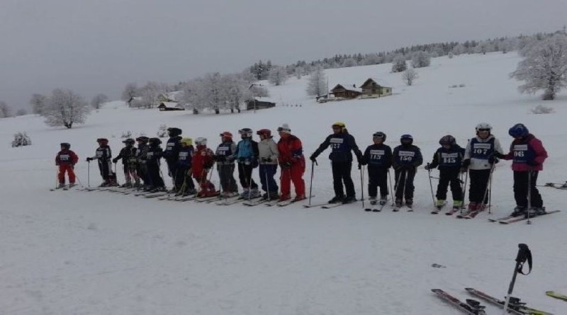 ski