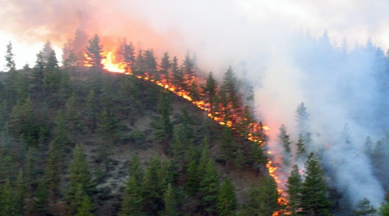 Veliki požar u miniranoj zoni, ugroženo oko 4 miljuna m3 visokovrijedne šume, očekuje se pomoć kanadera