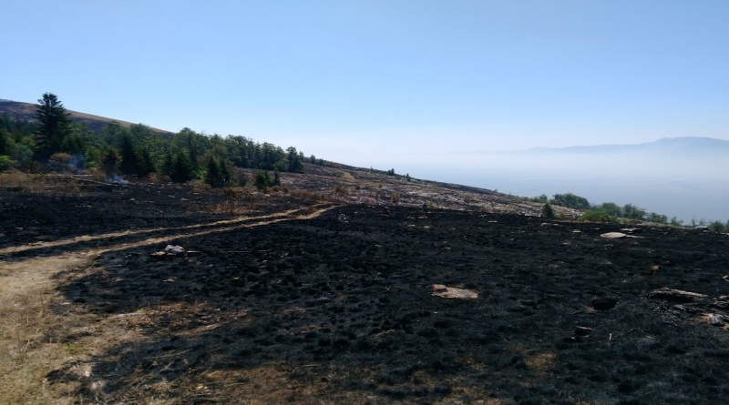 Izvješće o radovima na gašenju požara na površinama Šumarije Bosansko Grahovo