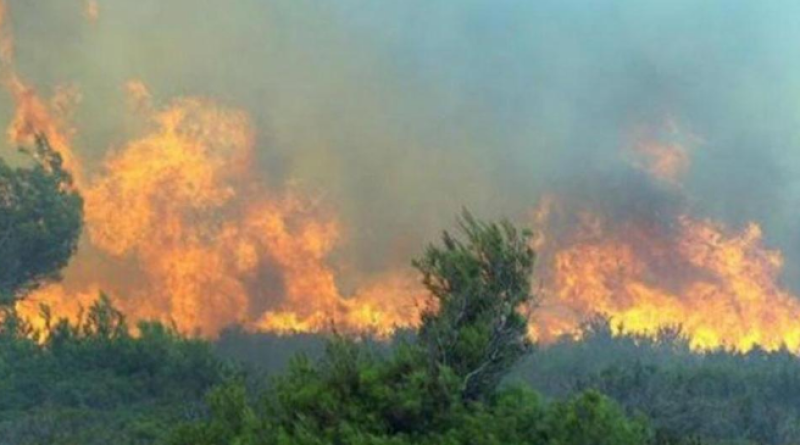 VIDEO: Snimak iz zraka sa požarišta u Bosanskom Grahovu 30.08.2017