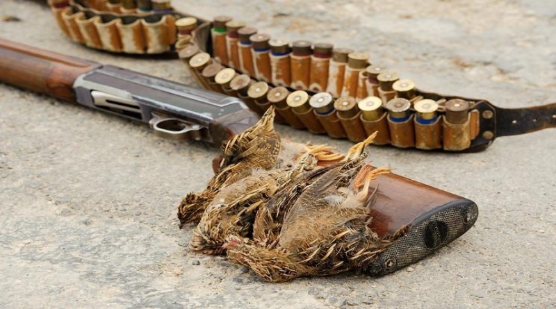 Duvnjaci uhvaćeni u krivolovu u lovištu Šumarije Kupres