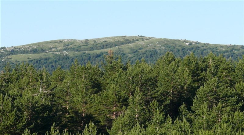 Projekt revitalizacija tri izvora (Bunari, Korita i Begovača)