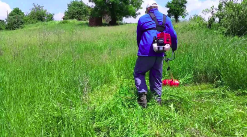 Zbog visokih temperatura otrovne zmije i krpelji vrebaju iz prirode