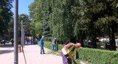 Livanjski srednjoškolci uljepšali svoj grad