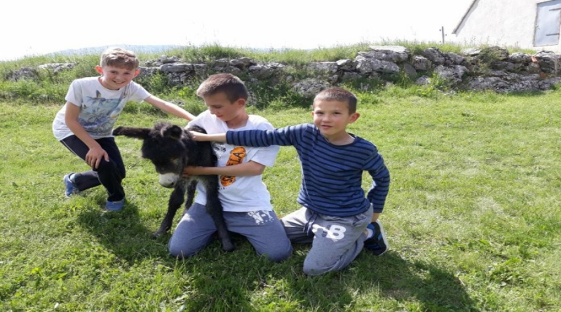 TOMISLAVGRAD: Prinova na farmi Ljubana Gudelja
