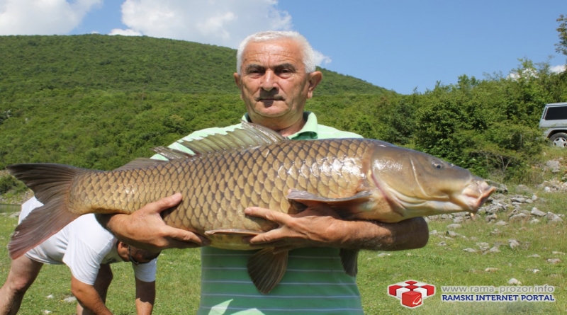 FOTO/VIDEO: U Ramskom jezeru uhvaćen šaran kapitalac od 28,4 kg