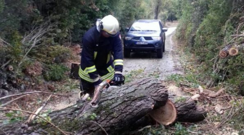 TOMISLAVGRAD: Vjetar iščupao stablo i oborio ga na cestu