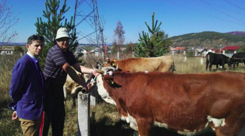 Kupreškim farmerima dodijeljene steone junice i farmerska oprema