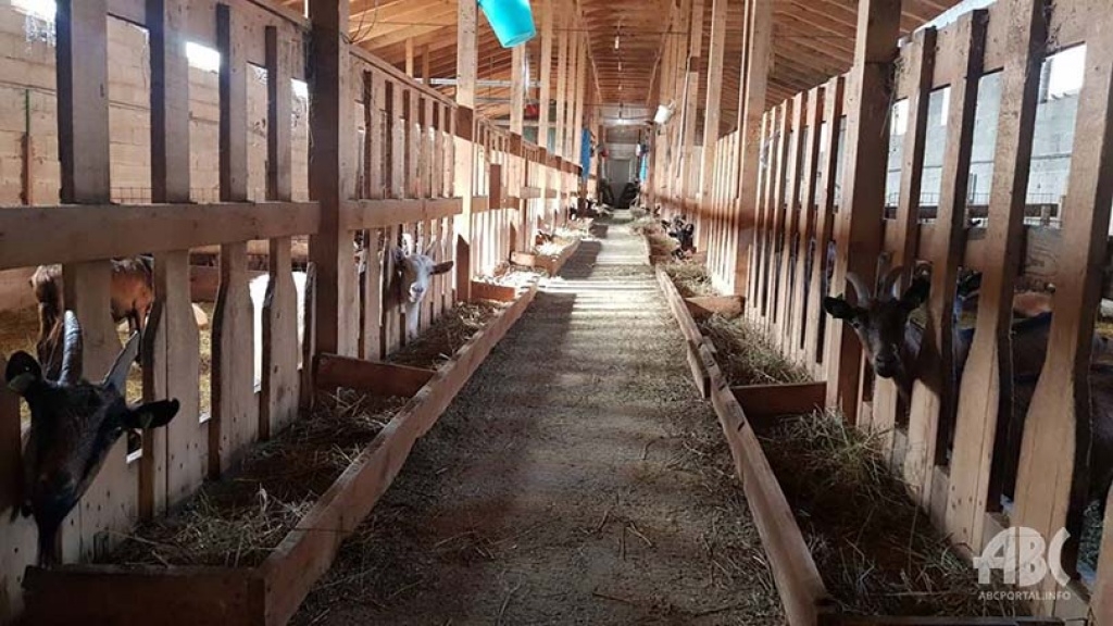 Farmer Ante iz Tomislavgrada: Posla ima dovoljno za cijelu obitelj
