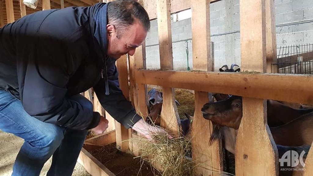 Farmer Ante iz Tomislavgrada: Posla ima dovoljno za cijelu obitelj