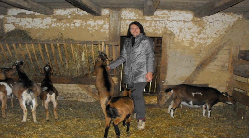 Inženjerka se posvetila uzgoju alpskih koza, osim mlijeka spravlja i vrlo tražen sir