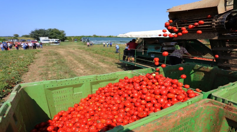 Podravka potiče poljoprivrednu proizvodnju u Hercegovini