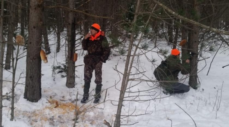 HBŽ: Lovci pomažu divljim životinjama preživjeti zimu