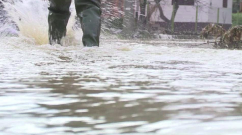 Poplave će utjecati na povećanje cijena poljoprivrednih proizvoda u BiH