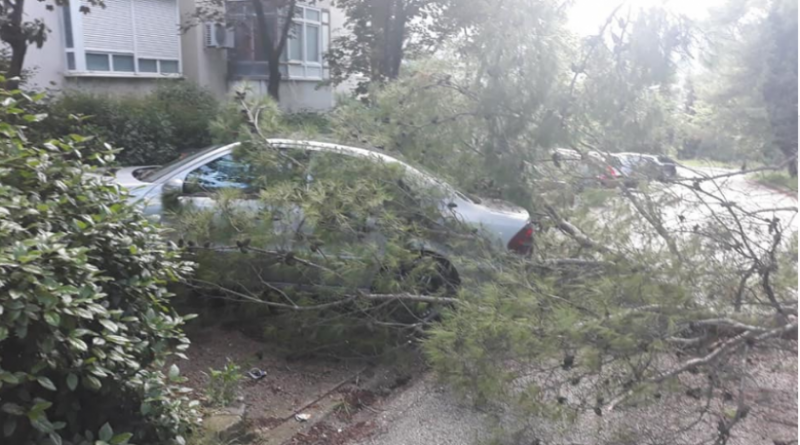 Jak vjetar u Mostaru lomio stabla, oštećeno nekoliko automobila