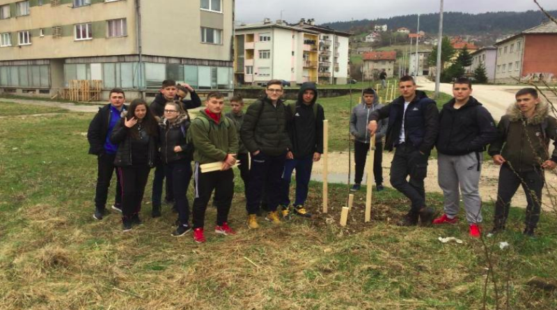 GLAMOČ: Učenici Srednje škole u Glamoču uljepšali grad sa zasadima javora