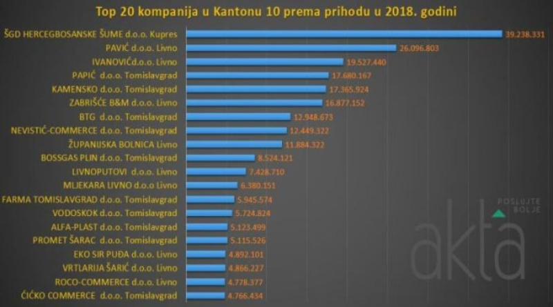 Top 20 tvrtki u HBŽ-u koje su ostvarile najveći prihod i dobit