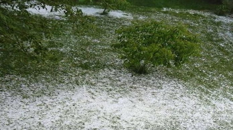 Krupa pogodila duvanjski kraj! (FOTO+VIDEO)