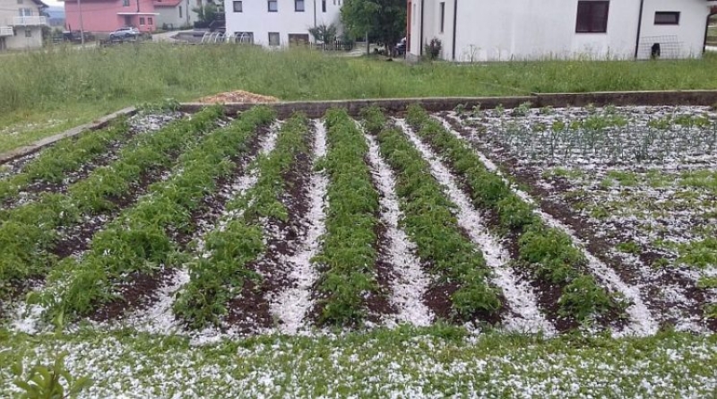 Što se bijeli u gori kupreškoj? (FOTO+VIDEO)