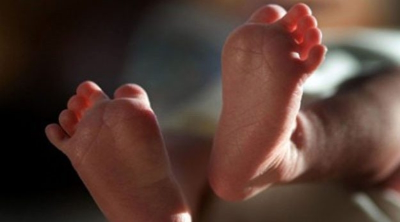 BIJELA KUGA U HERCEGBOSANSKOJ ŽUPANIJI: Ove godine još uvijek nije rođena nijedna beba