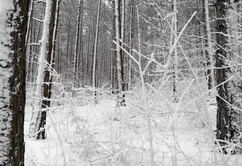 FOTO: Pogledajte predivnu snježnu idilu kraj Tomislavgrada