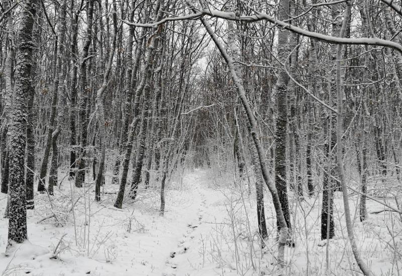 FOTO: Pogledajte predivnu snježnu idilu kraj Tomislavgrada