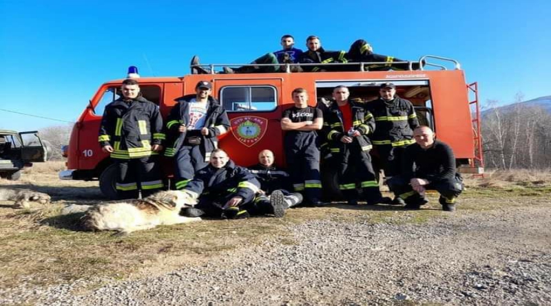 LIVNO: Vatrogasci spasili 40 pasa iz zapaljenog azila