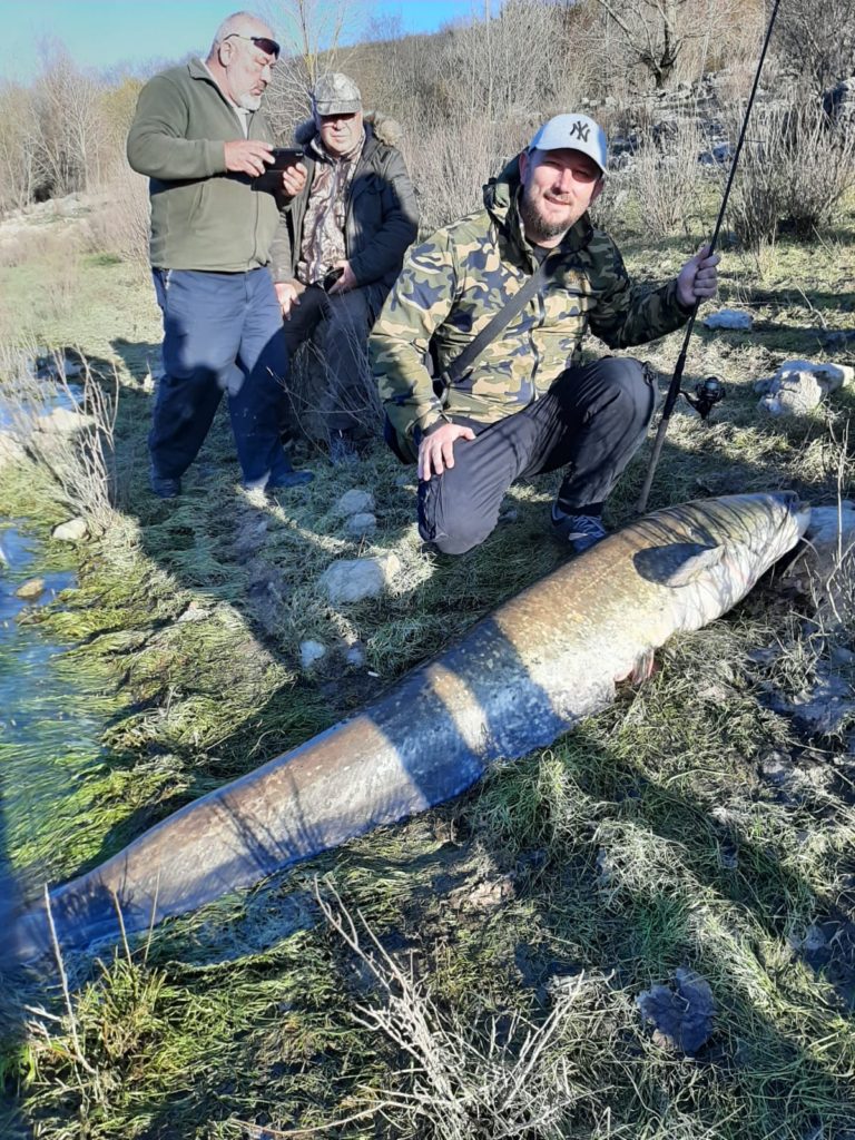 Ilija Skočibušić u Buškom jezeru upecao soma kapitalca od 40 kg