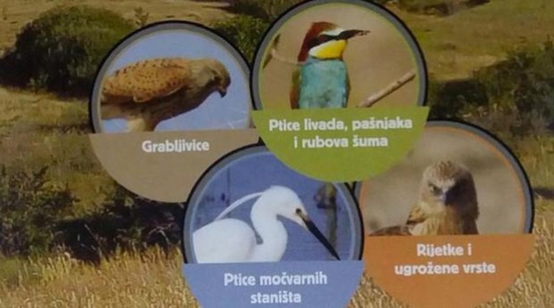 Livanjsko polje dom je za 265 vrsta ptica, neke su vrlo rijetke i ugrožene