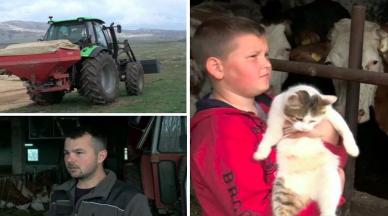 Mlade obitelji iz Duvanjskog polja prekidaju trend odlaska: Budućnost grade na rodnoj grudi