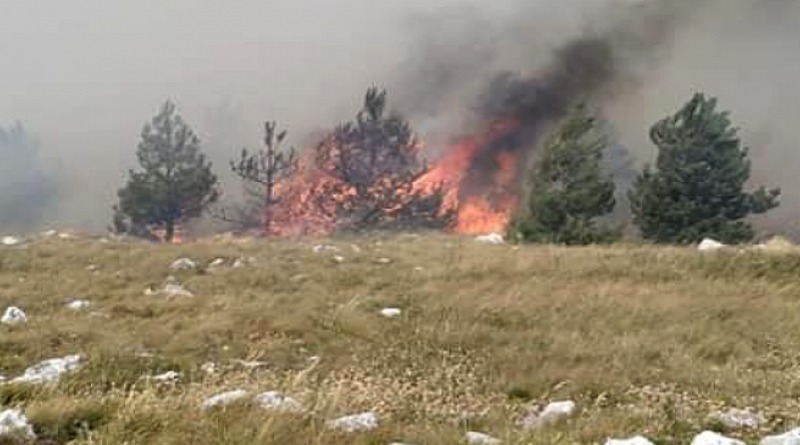 GRAHOVO: Smrtno stradala osoba prilikom pokušaja gašenja požara