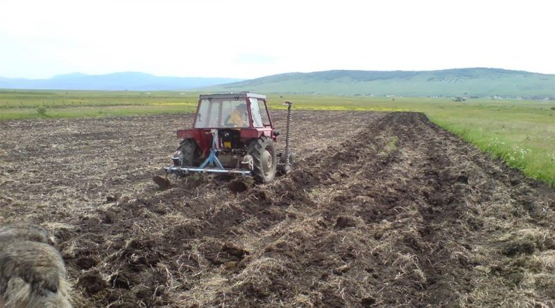 Zbog suše rastu cijene poljoprivrednih proizvoda, smanjen urod povećava troškove