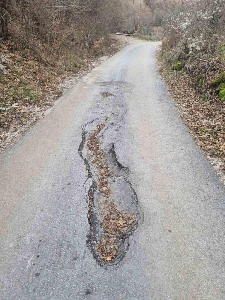 REFERENDUM U DRVARU: Načelnica Dušica Runić svoj opoziv nazvala antisrpskom zavjerom