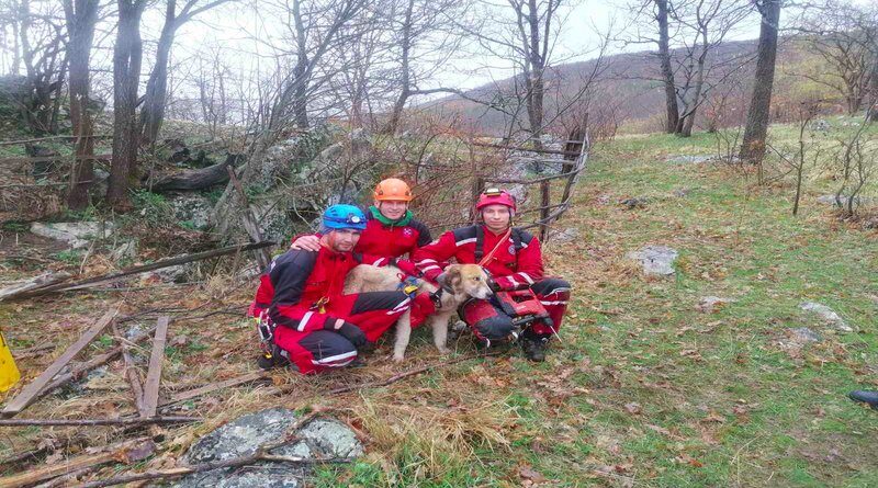 DRVAR: Gorska služba spašavanja izvukla psa iz jame duboke 25 metara