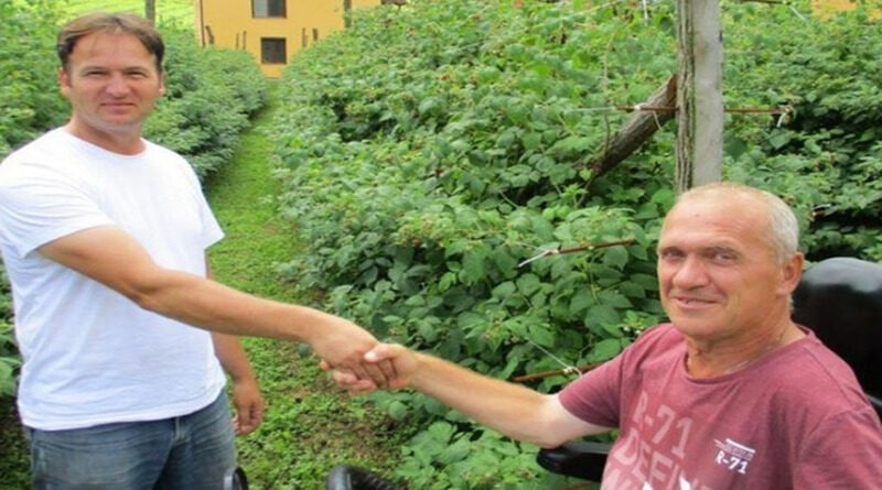 Senad i Radenko, susjedi u zajedničkom biznisu s malinama