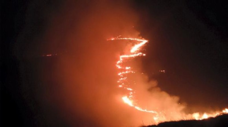 Mnogobrojni požari na području Livna. Gore Kruzi, Borova glava, Golija