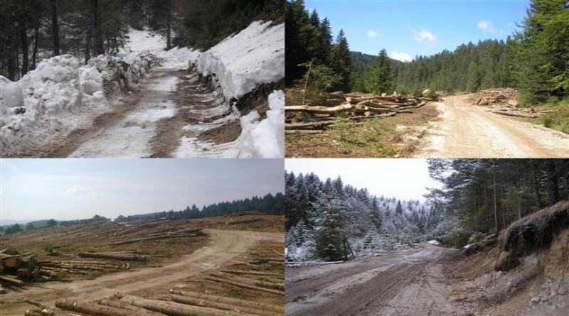 HB Šume Kupres: Plan gospodarenja za 2016. potrebno 9 novih djelatnika