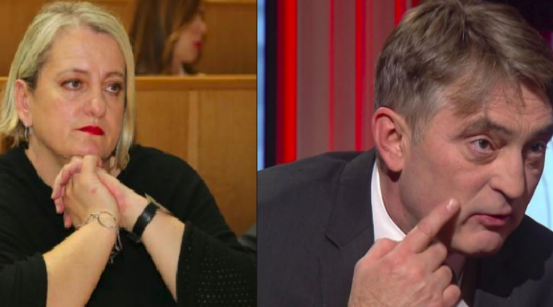 Usporedba Diane Zelenike i Željka Komšića: program, izjave i mediji koji prenose njihove izjave