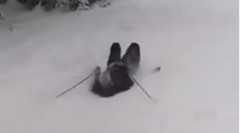 Umrijet ćete od smijeha: Dalmatinac na skijanju pravi je hit!