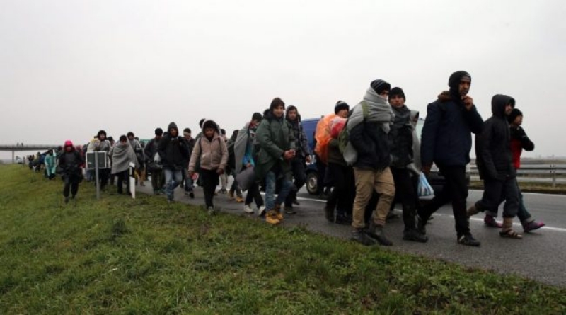 ŠOKANTNA SNIMKA BiH policija u kolonama prevozi migrante tik uz hrvatsku granicu; MUP: ‘Zabrinuti smo’