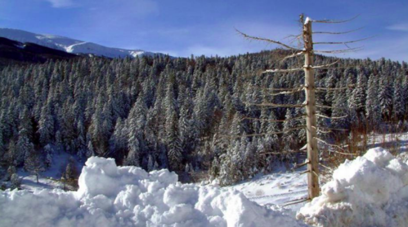 Na Bjelašnici minus 12, u Livnu i Drvaru minus 7, Neumu i Stocu plus 5 stupnjeva