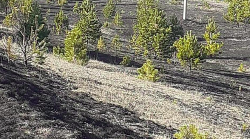 Tri požara na području Tomislavgrada, jedna osoba uhićena