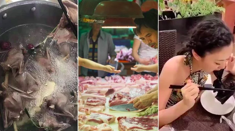 Što su točno kineske "mokre tržnice" i zašto su izvor ubojitih virusa?