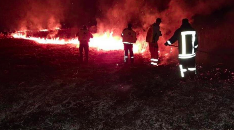 VATRA ZAPRIJETILA KUĆAMA U LIVNU Požar u Donjim Rujanima