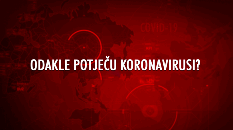 Najvažnija pitanja i odgovori o koronavirusu