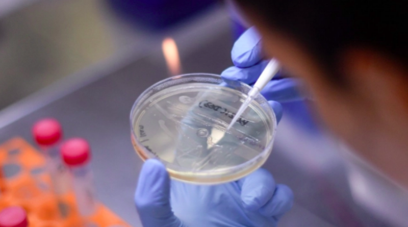 SVE ŠTO TREBATE ZNATI O CJEPIVU ZA KORONAVIRUS: Kada bi moglo biti spremno i kako funkcionira; ‘Moglo bi spasiti puno života’