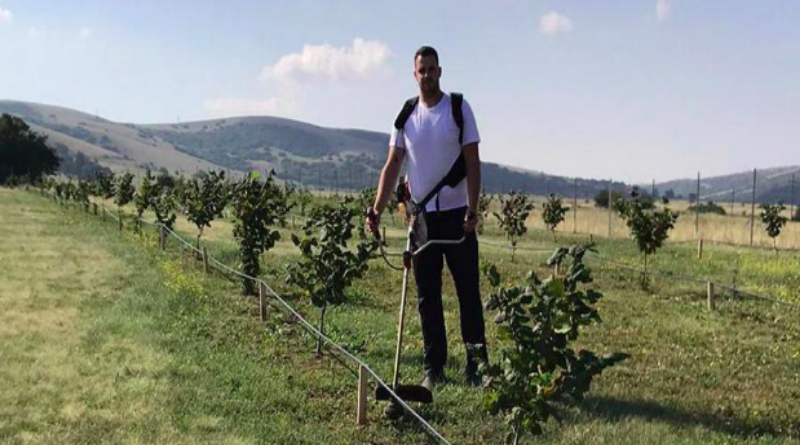 ŠUJICA: Plantaža lješnjaka daje prvi urod, a najmlađi zemljoradnik planira i širenje u budućnosti