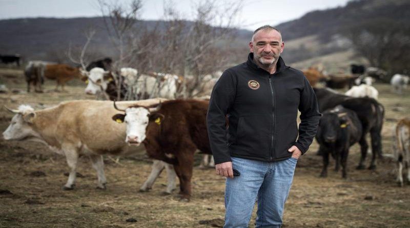 Destorica braće po oružju u poslu na Kamešnici
