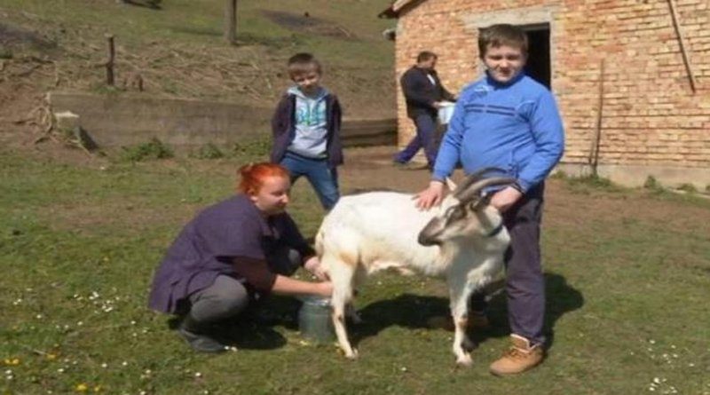 Vratili se iz Njemačke u BiH i osnovali svoje gazdinstvo