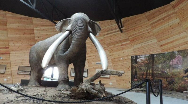 Franjevački muzej u Tomislavgradu čuva neprocjenjiv nalaz praslona